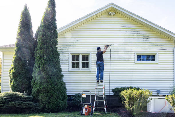 Trusted Heyworth, IL Pressure Washing Services Experts